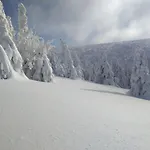 Czech *